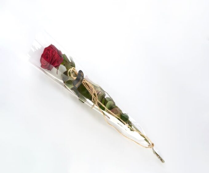 En rød rose - Send blomster med Bloomit