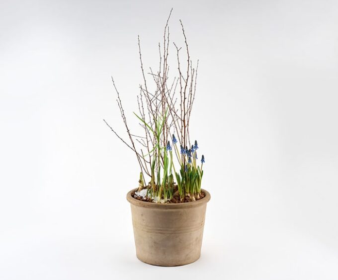 Udendørs forårsdekoration - Send blomster med Bloomit!