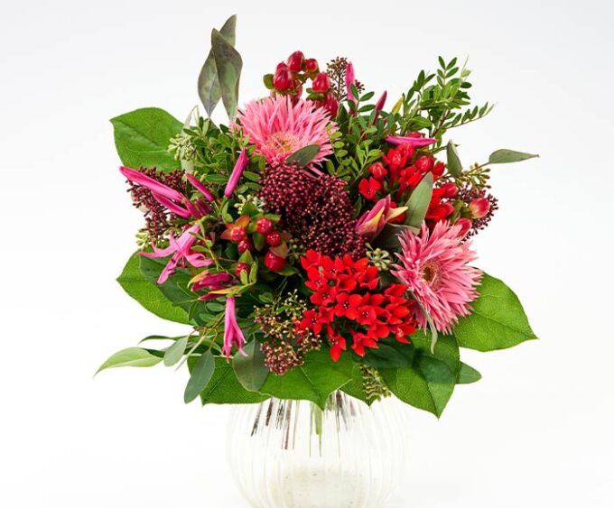 Farverig vinterbuket - Send blomster med Bloomit